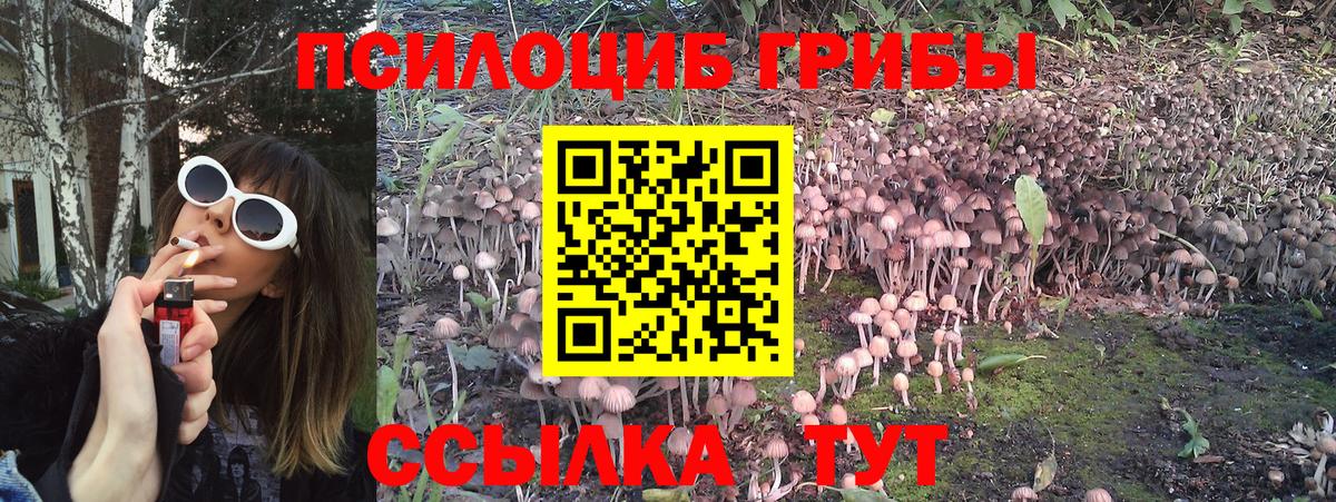 Псилоцибиновые грибы Magic Shrooms Новозыбков