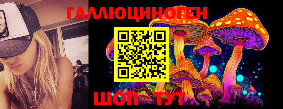Галлюциногенные грибы GOLDEN TEACHER  Вход с VPN  Новозыбков 